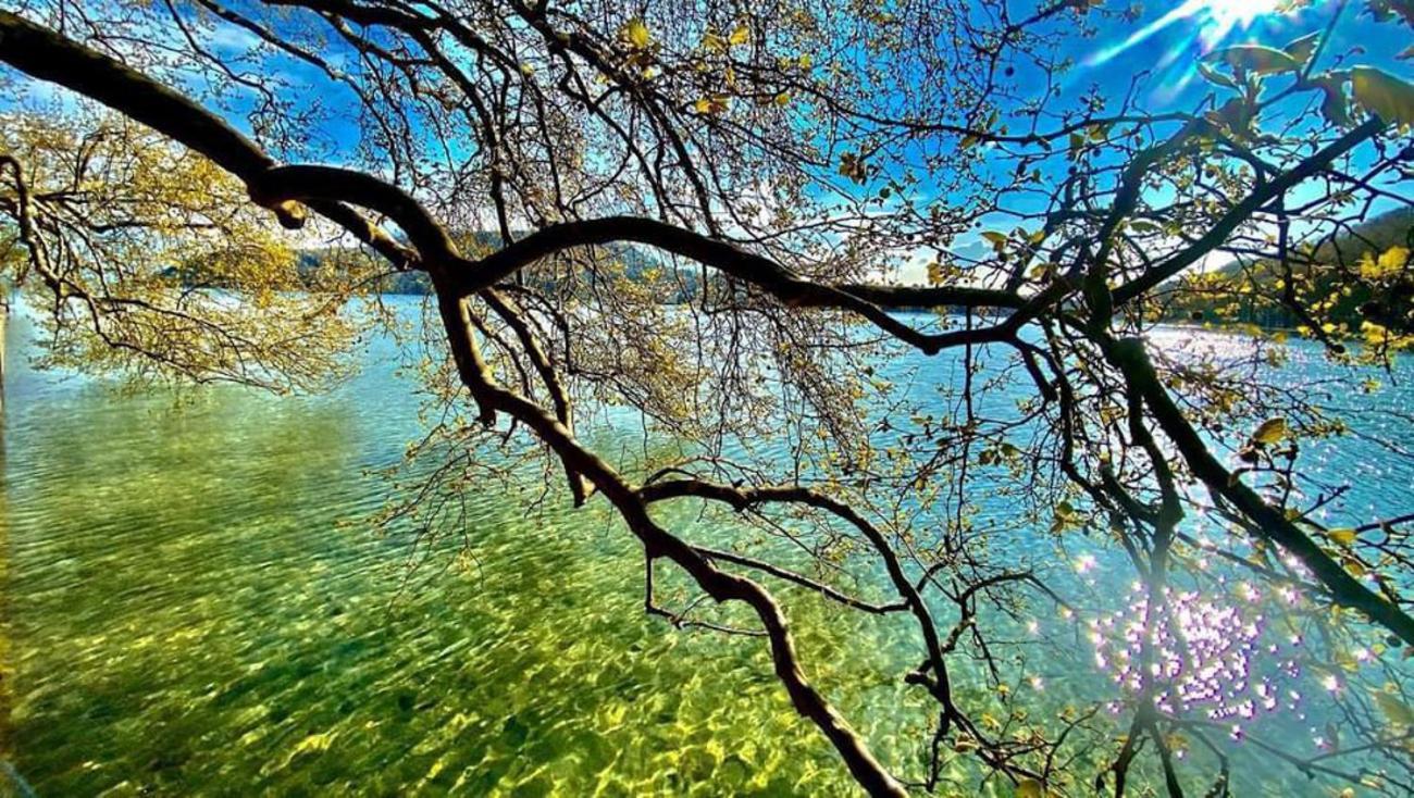 L'Echappee Du 36 - 4 Chambres Dans Le Triangle D'Or A 100M Du Lac, Parking Gratuit Annecy Dış mekan fotoğraf